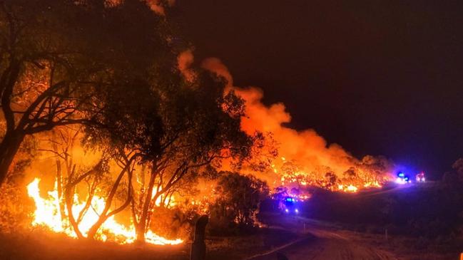 CFS crews battle the Cherry Gardens bushfire from the ground. Picture: Josh Boyce