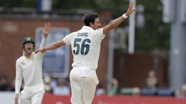 DERBY, ENGLAND — AUGUST 29: Mitchell Starc of Australia celebrates a wicket of during day one of the Tour Match between Derbyshire CCC and Australia at The County Ground on August 29, 2019 in Derby, England. (Photo by Ryan Pierse/Getty Images)