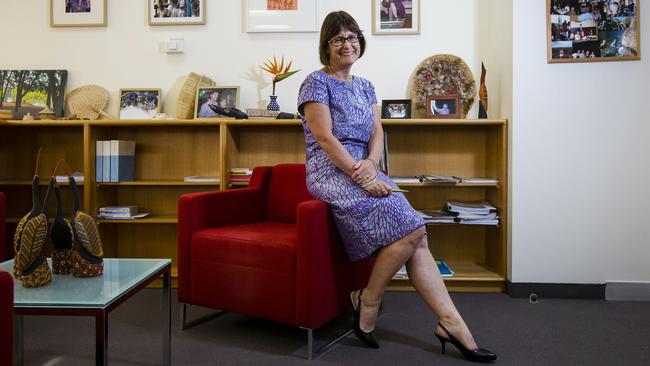 Hilary Hannam, a former NT Chief Magistrate (pictured in 2013), said claims that authorities were too quick to remove Aboriginal children were ‘hard to believe’ after what she had seen