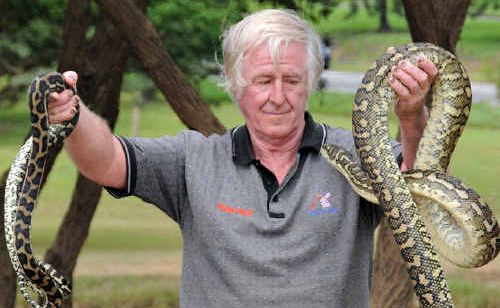 John Keady with two carpet pythons he caught yesterday, they were later relocated to the bush. Picture: Renee Pilcher