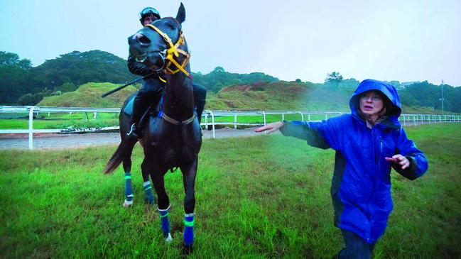 Early riser: Gai Waterhouse training. Picture: Kate Geraghty