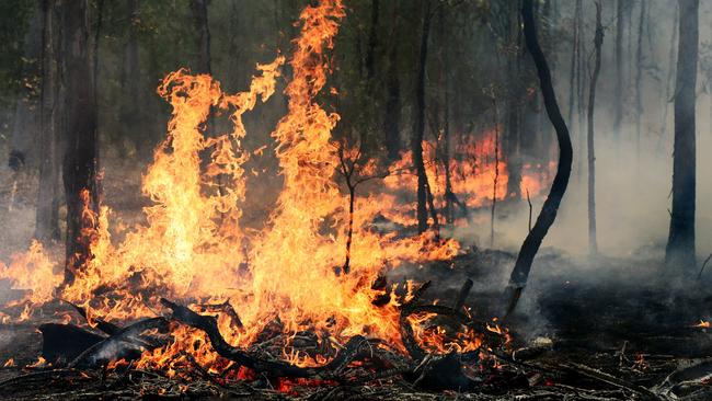 Bushfire season has arrived. Picture: SUPPLIED