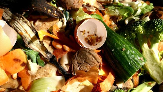 The average household throws away more than $2000 a year worth of food, according to research. Picture: ThinkStock