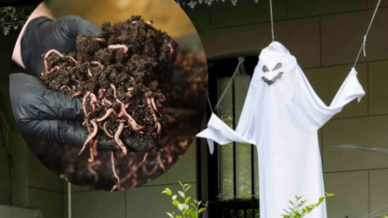 ‘Fun police’: Locals slam ‘preachy’ council’s organic Halloween push