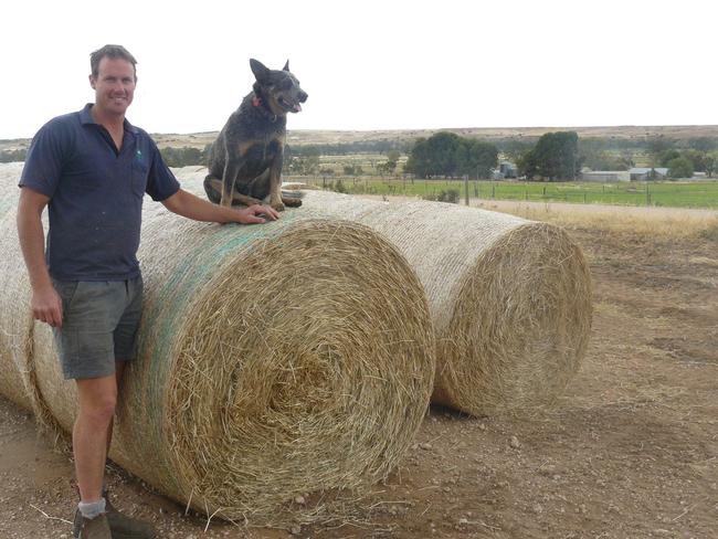 Sam Martin on his SA farm after his 2016 award win.