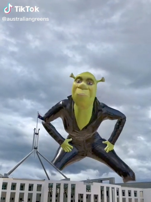 Supplied Editorial The Greens posted a take on the popular 'Shrek in the Sky' trend last month.