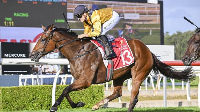 Bonjour Madame is looking to bring up the hat-trick when she heads to Canterbury. Picture: Bradley Photos