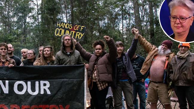 Coffs forest protest canva