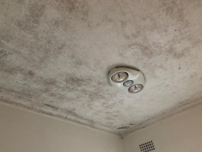 Image of mould in a Sydney home. Provided by Matt Reardon of Mould Buster.