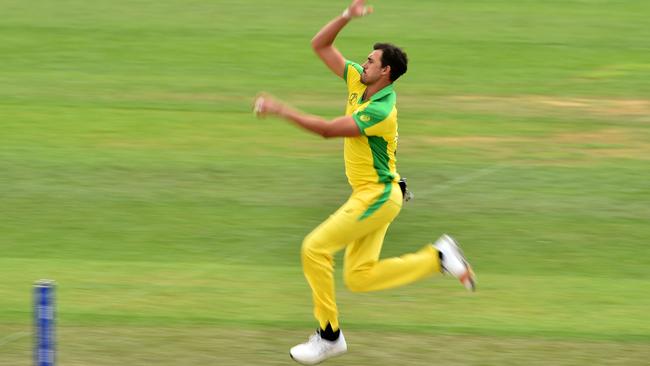 Mitchell Starc took a wicket in his first over of the tournament, as he always does.