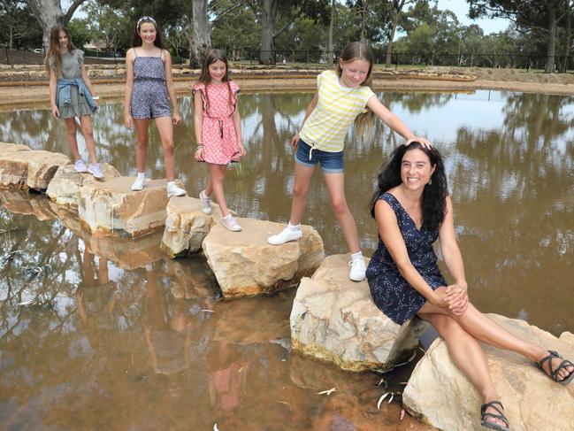 ‘Polluted artificial’ lake now a thriving wetland for visitors