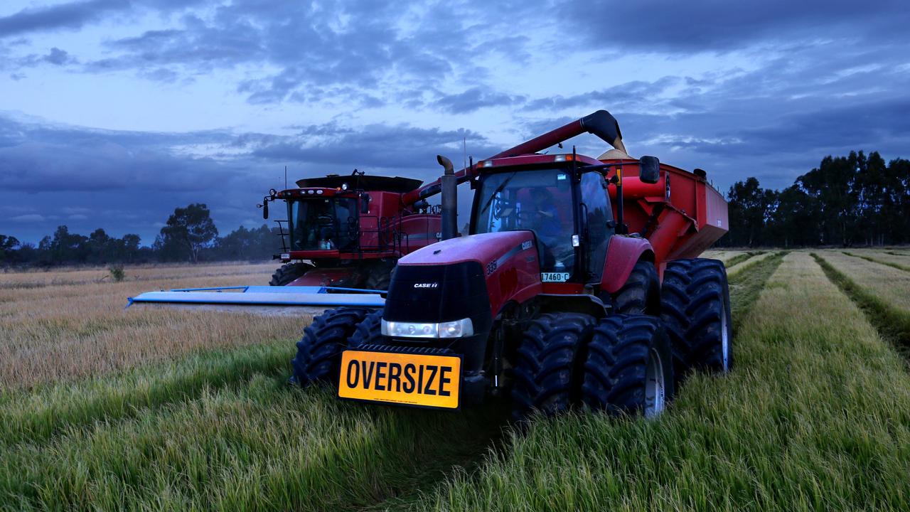 Riverina rice growers achieve record-breaking yields