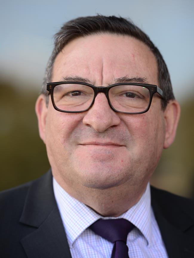 Labor MP Steve Georganas