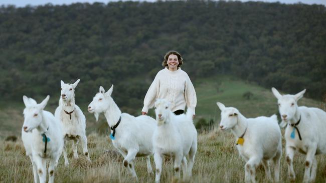 Sarah Ajzner runs Dreaming Goat Dairy in the Macedon Ranges. Picture: Andy Rogers