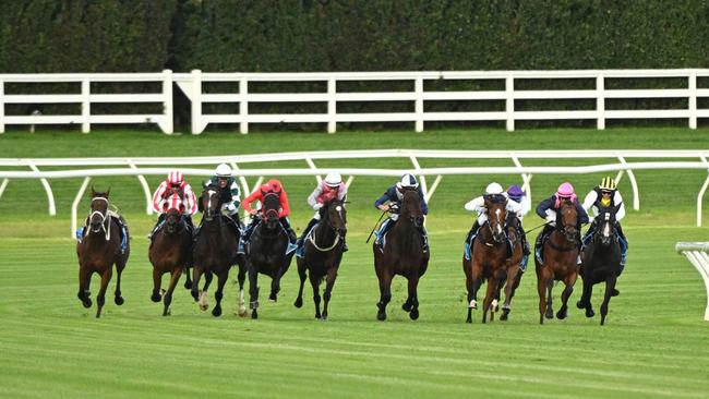 The riderless Heed The Omens (left) after Ben Melham was dislodged just after the start of race 7 at Caulfield Heath. Picture: Vince Caligiuri/Getty Images