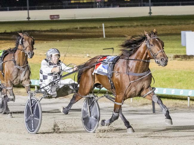 Race 5: Cranbourne Cup, Saturday 10-2-2024 Decron Cranbourne Gold Cup Winner: Leap To Fame (10) Trainer & Driver: Grant Dixon Race Distance: 2,555 metres, Mile Rate: 1.55.6 (New Course Record) photography: Stuart McCormick