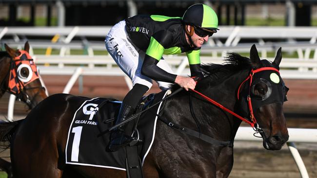 Joshua Parr rides Private Eye to win the Gilgai Stakes at Flemington on October 1. Picture: Vince Caligiuri/Getty Images