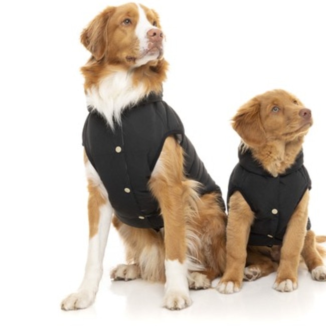 Your pooch will be ready for walkies in this coat. Picture: My Pet Warehouse.