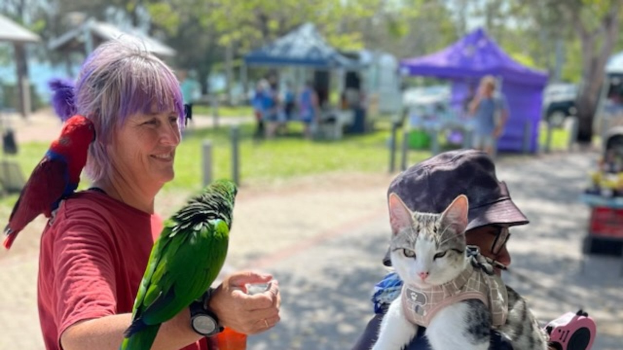 Bowen Community Markets held in Hansen Park each Sunday.