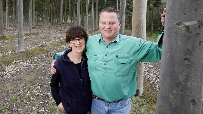 Eve Kantor and Mark Wootton of Jigsaw Farms. Picture: Yuri Kouzmin