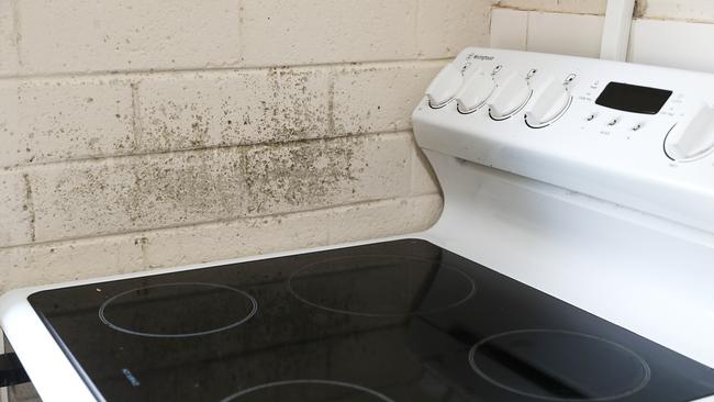 Black mould on the walls in the kitchen. Picture: Nikki Davis-Jones