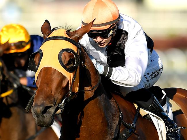 Jockey Stephanie Thornton rides Star Of Michelin to victory in race 7, the QTIS 3YO Handicap, during Saturday Raceday at Eagle Farm Racecourse in Brisbane, Saturday, March 21, 2020. (AAP Image/Albert Perez) NO ARCHIVING, EDITORIAL USE ONLY