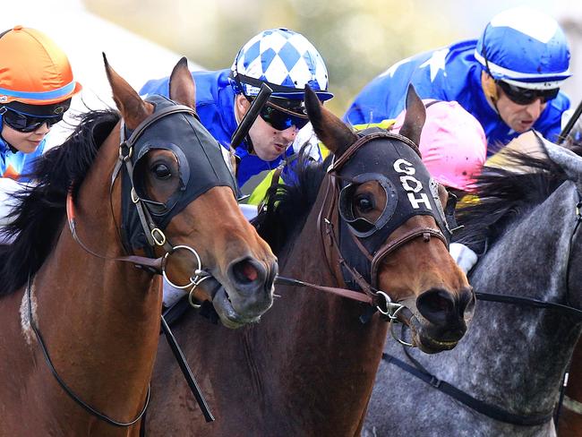 Major Major ridden by Brenton Avdulla wins race 6 during Randwick recession Sydney. Pic Jenny Evans