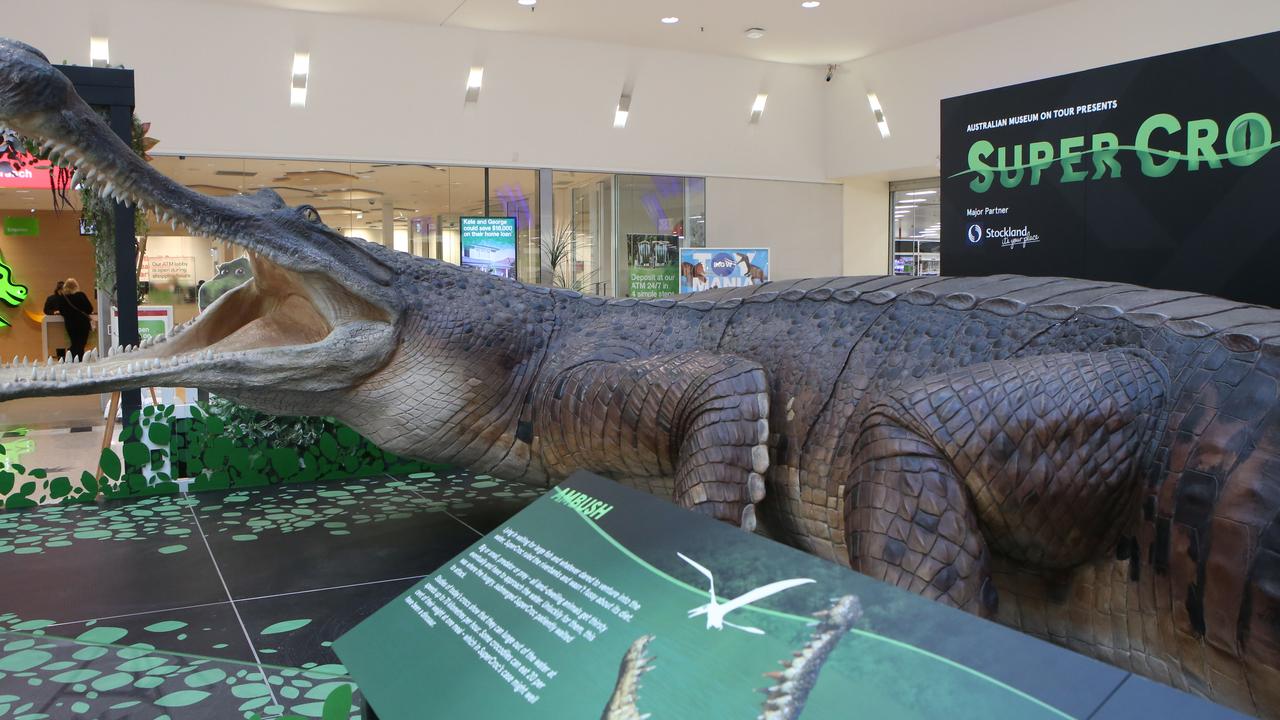 SuperCroc a monster hit at Wetherill Park | Daily Telegraph