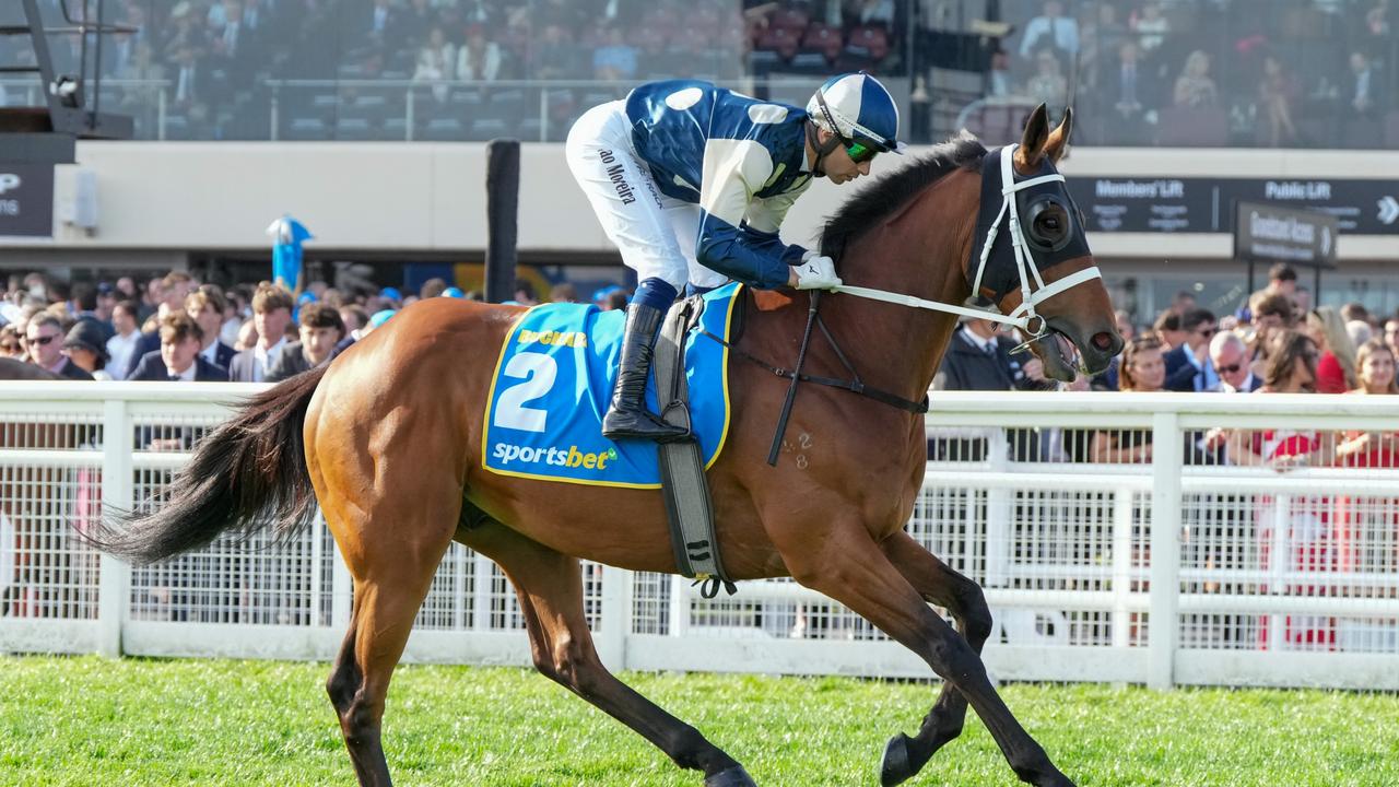 Buckaroo (GB) on the way to the barriers prior to the running of the Sportsbet Caulfield Cup at Caulfield Racecourse on October 19, 2024 in Caulfield, Australia. (Photo by Scott Barbour/Racing Photos via Getty Images)