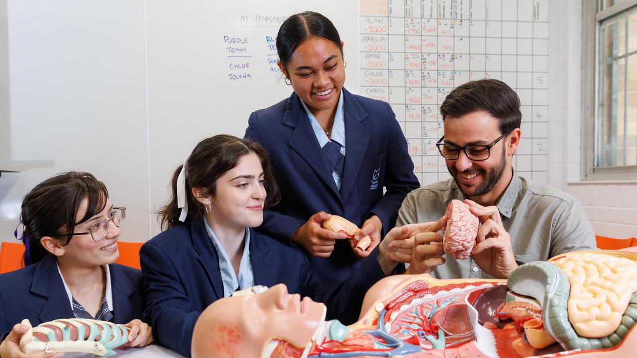 James Meehan High School in Macquarie Fields helps to change the face of  once-troubled suburb | Daily Telegraph