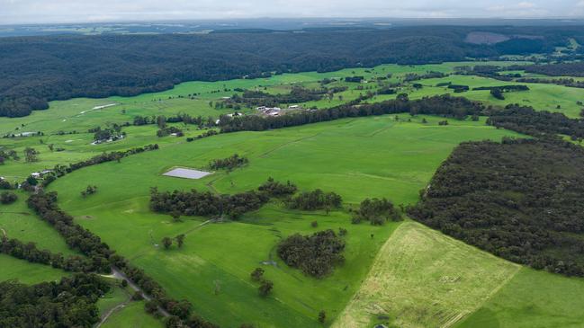 At Otway Milk Alli and Matt Reid milk 675 cows and carry 400 heifer replacements.