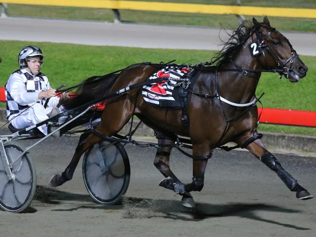 Grant Dixon the driver of Alleluia - FOR USE IN TROT SPOT - MUST CREDIT DAN COSTELLO RACING PHOTOGRAPHER