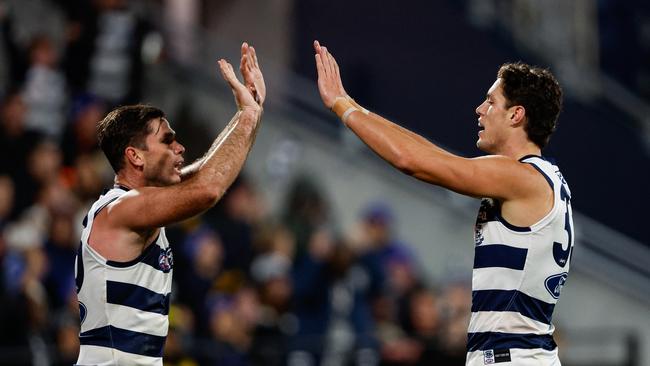 Shannon Neale celebrates a goal with Tom Hawkins. Picture: Dylan Burns/AFL Photos via Getty Images