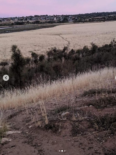 The tracks left where the monolith was supposedly dragged. Picture: @justadelaidethings Instagram