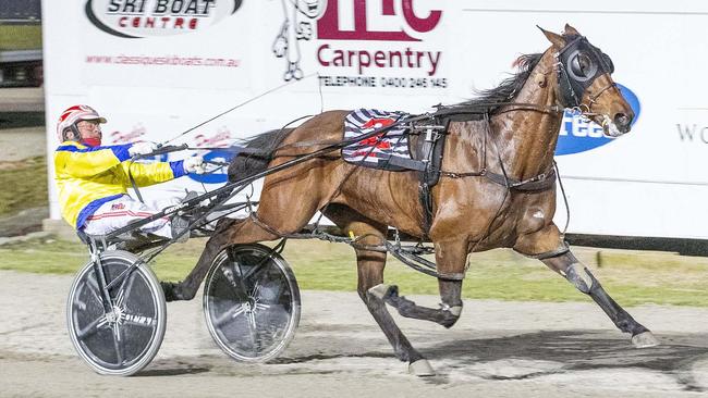 Max Delight will line up for his 128th start in the Inter Dominion pacing final on Saturday night. Picture: Stuart McCormick