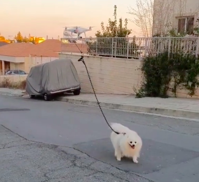 The video shows a dog being walked with a lead attached to a drone.