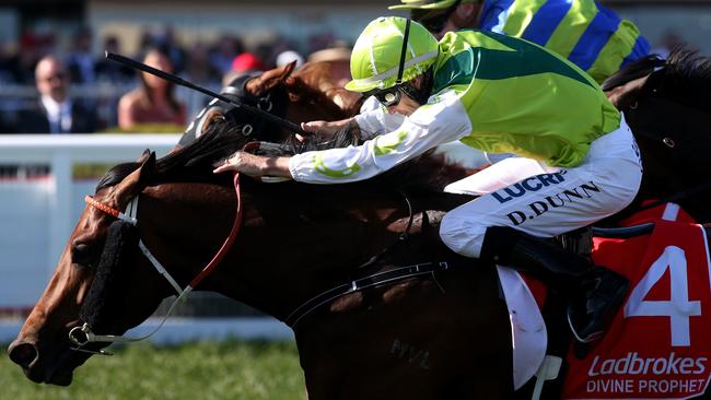 Dwayne Dunn drives Divine Prophet to the line in the Caulfield Guineas. Picture: Mark Dadswell