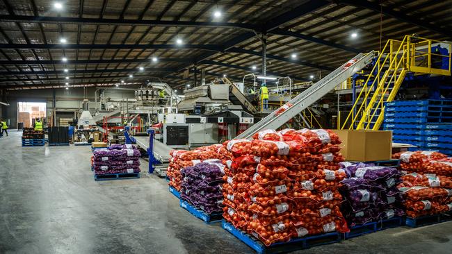 Pye Group has three packing sheds for each commodity, with the onion shed at Parilla upgraded three years ago. Picture: Matt Turner