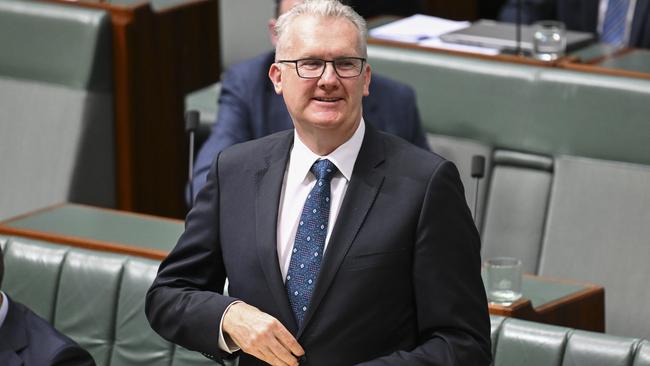 Home Affairs Minister Tony Burke. Picture: NewsWire/Martin Ollman