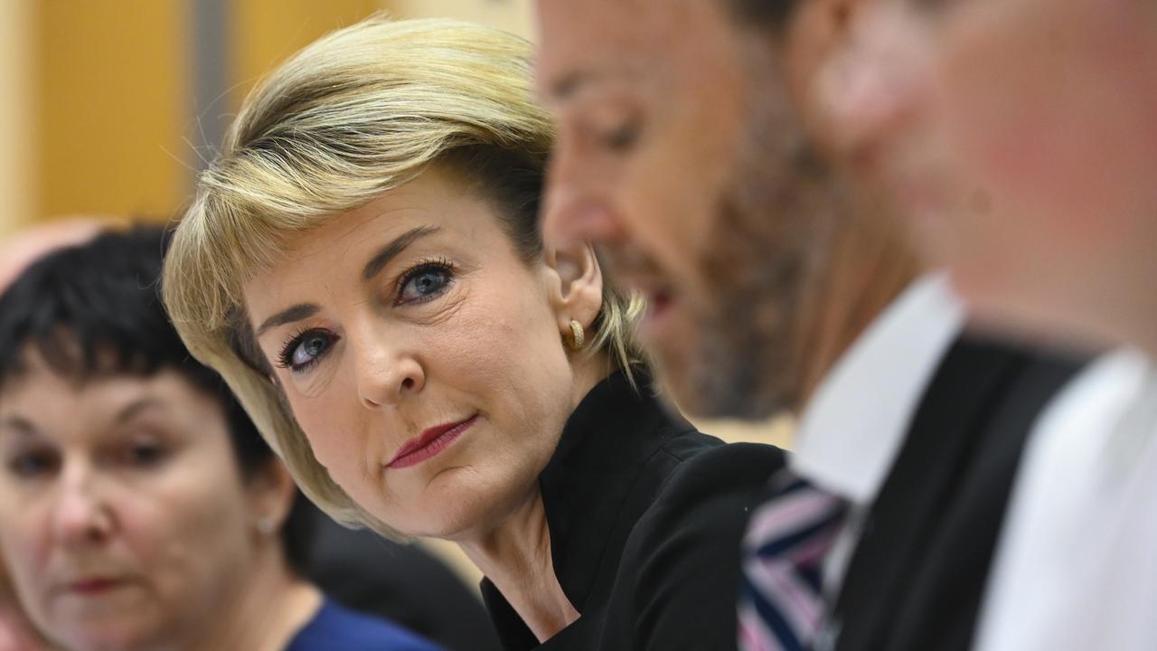Employment Minister Michaelia Cash has defended the Jobactive system, saying it had achieved 1.4 million placements since July 2015. Picture: AAP