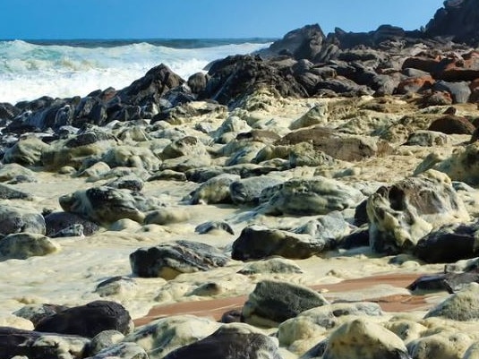 An image of the Algae on the beach: Supplied Instagram