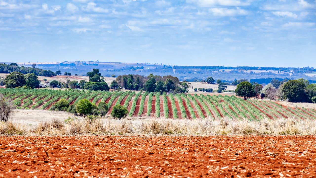 Bunya Red Farm in the South Burnett. Photo: Nancy Jayde Photography