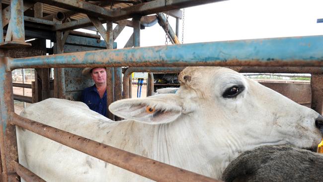 NT Cattlemen say the Federal Government is skimping on compensation.