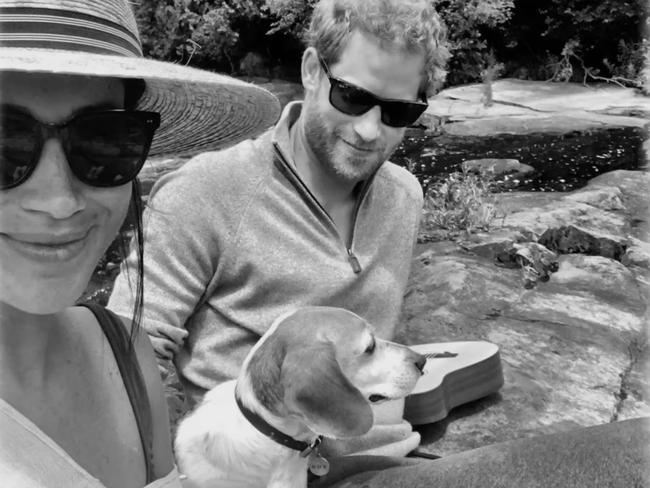 Prince Harry with his hand around Meghan’s dog, Guy. Picture: Netflix