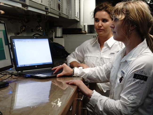 Crew on board the Pangaea Ocean Explorer.