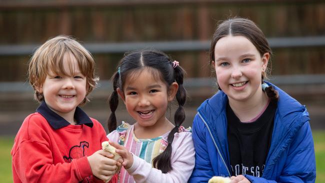 Hudson Shawyer, 5, Mila Gunaksa, 5, and Florence Fuller, 10, are all set for the Royal Adelaide Show next month. Picture: Brett Hartwig