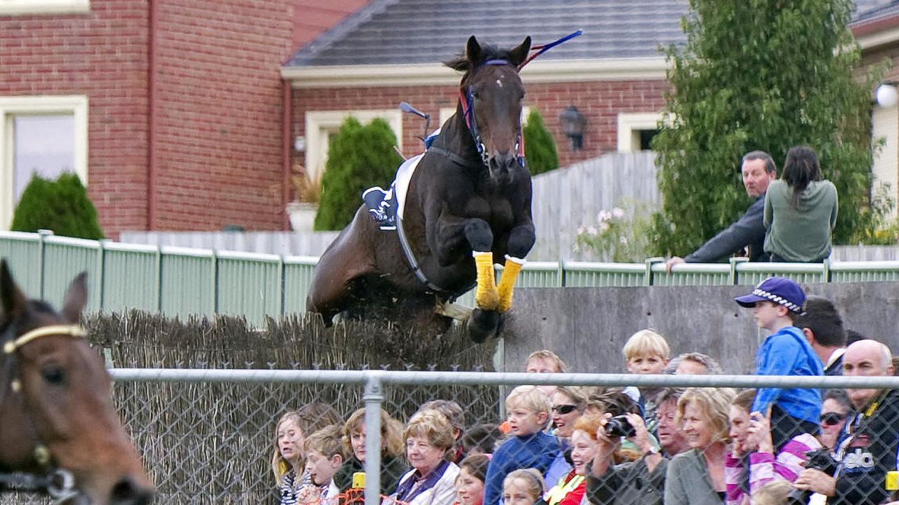 Horseracing - jumps racing - during Race 6, the Grand Annual Steeplechase, a riderless racehorse 'Banna Strand' jumps a fence into the crowd at Warrnambool Racing Club, Victoria.