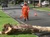 More than 10,000 homes without power after storms sweep Victoria