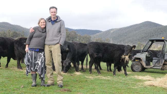 Top marks: Julian and Sally Carroll with some of their spring-calving Angus herd.