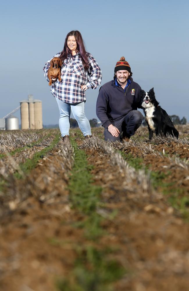 Pulse growers and producers in Horsham area, Dominique & Campbell Matthews. Picture: Yuri Kouzmin